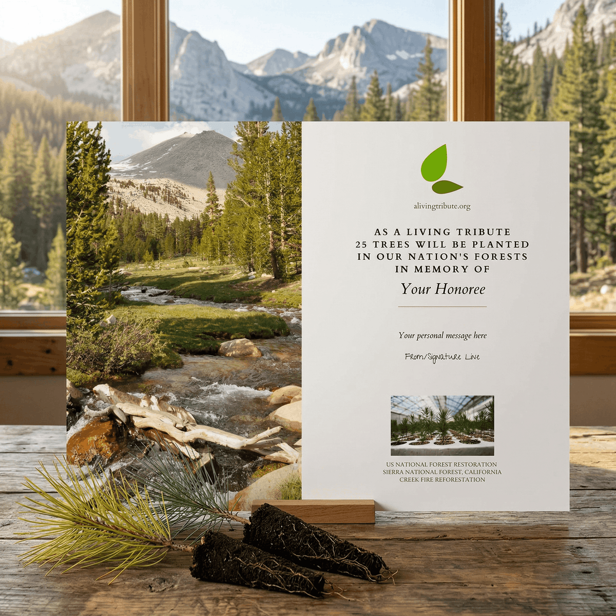 Plant a Tree in Honor or Memory in a California National Forest - A Li ...