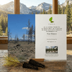 Memorial plaque with nature scene and text on a wooden surface with a mountain view.