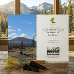 Lassen National Forest card