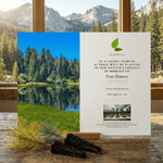 San Bernardino National Forest card