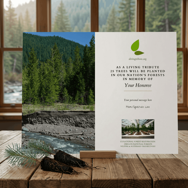 Memorial card for planting trees in memory of a deceased person with a scenic background.