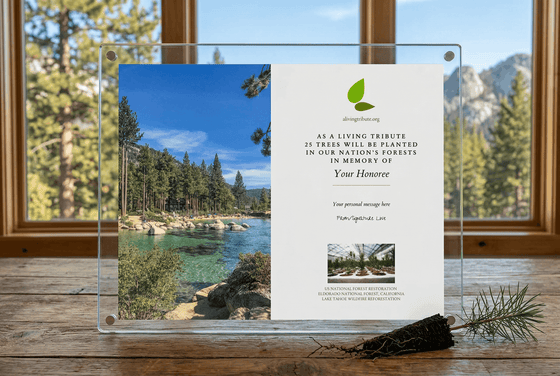 Memorial plaque with scenic view of a lake and trees, placed on a wooden surface.