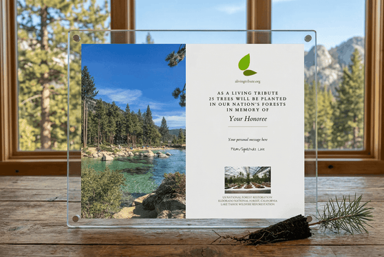 Diamond glass memorial tree plaque with scenic view of a lake and trees, placed on a wooden surface.