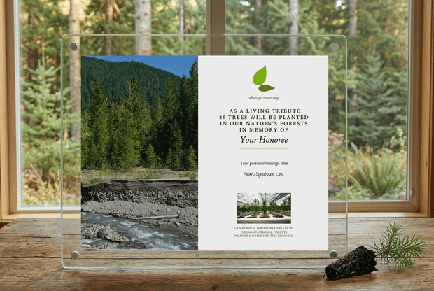 Acrylic plaque with nature-themed design and text on a wooden surface