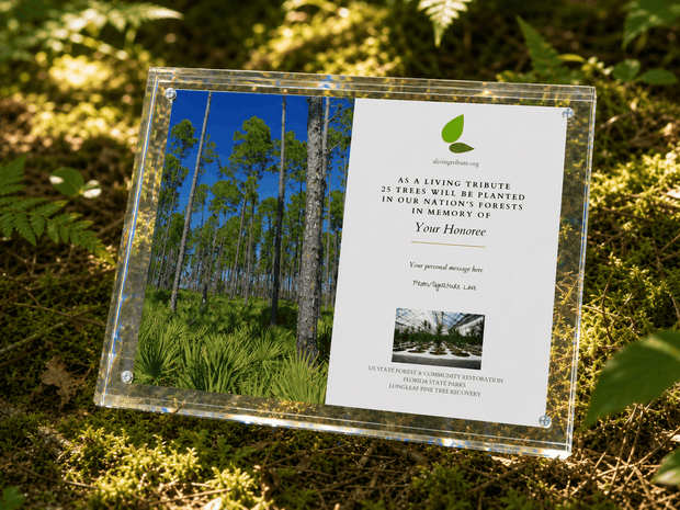 A Living Tribute - Crystal Tribute Tree Planting Gift