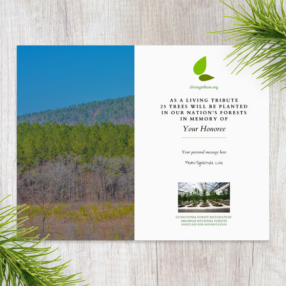 Plant a Tree in Memory Arkansas
