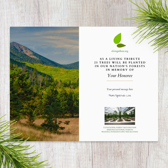 Plant a Tree in Memory Arizona