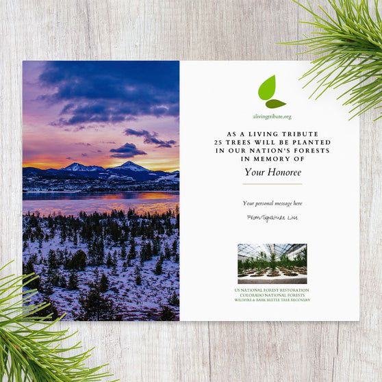 A commemorative card for planting trees in Colorado with a scenic background featuring mountains and a clear sky.