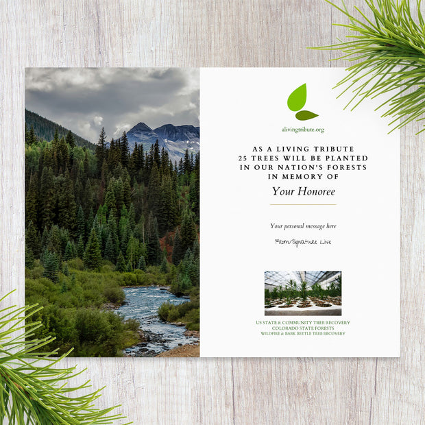 Plant a Tree for Colorado State Forests