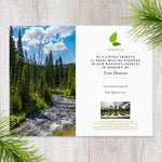 Plant a Tree Forest Friends Gift