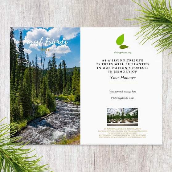 Plant a Tree Forest Friends Gift