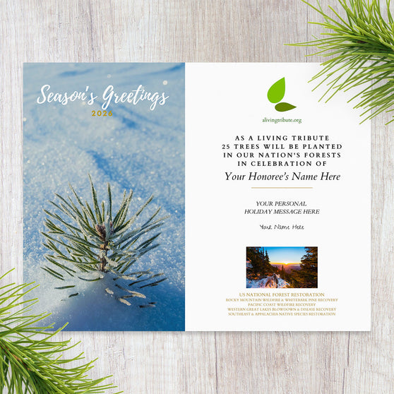Holiday card with tree planting message on a wooden surface with snowy background
