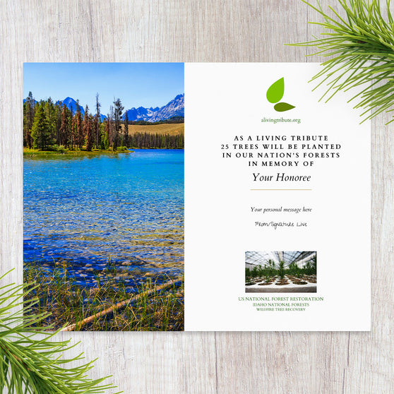 Plant a Tree in Memory Idaho
