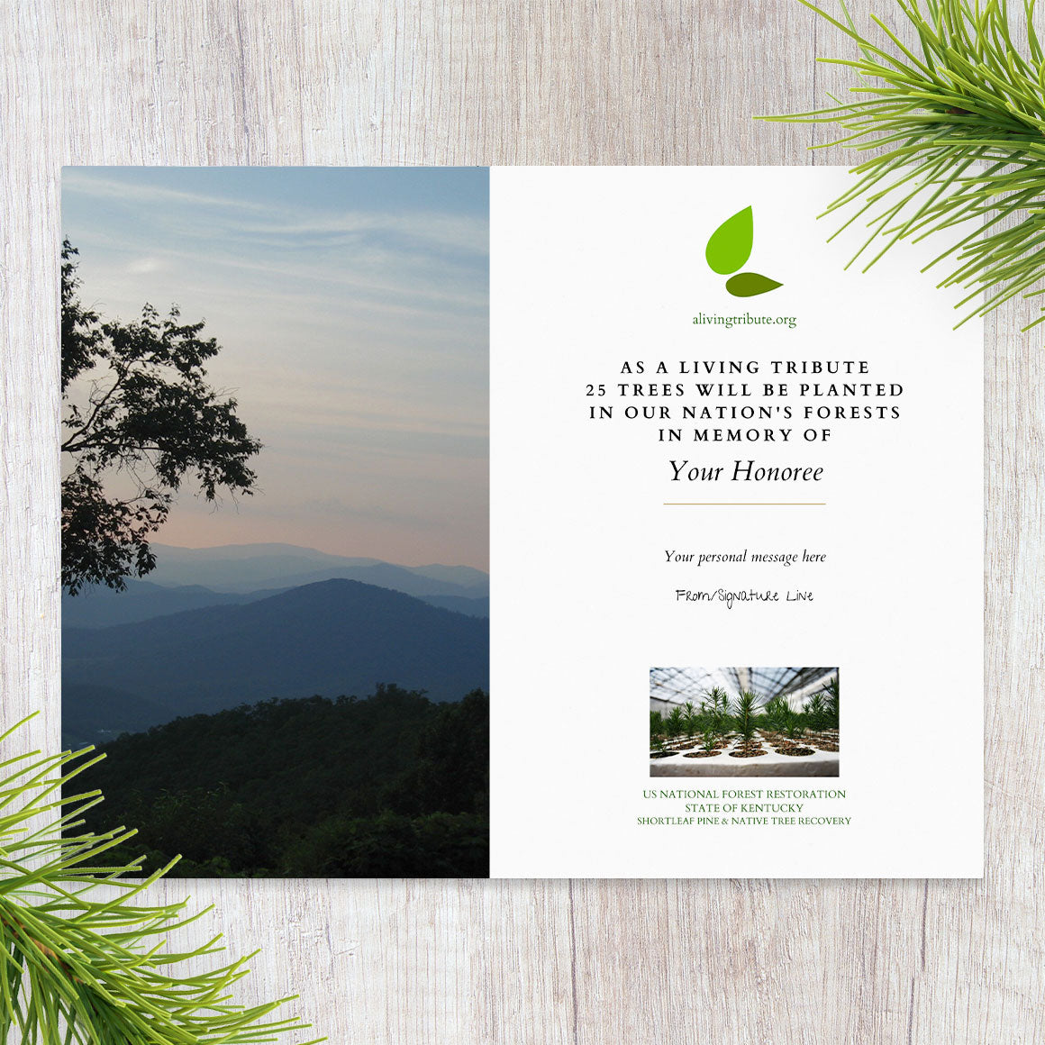 Plant a Tree for Someone in Kentucky - Memorial & Tribute Trees | A ...