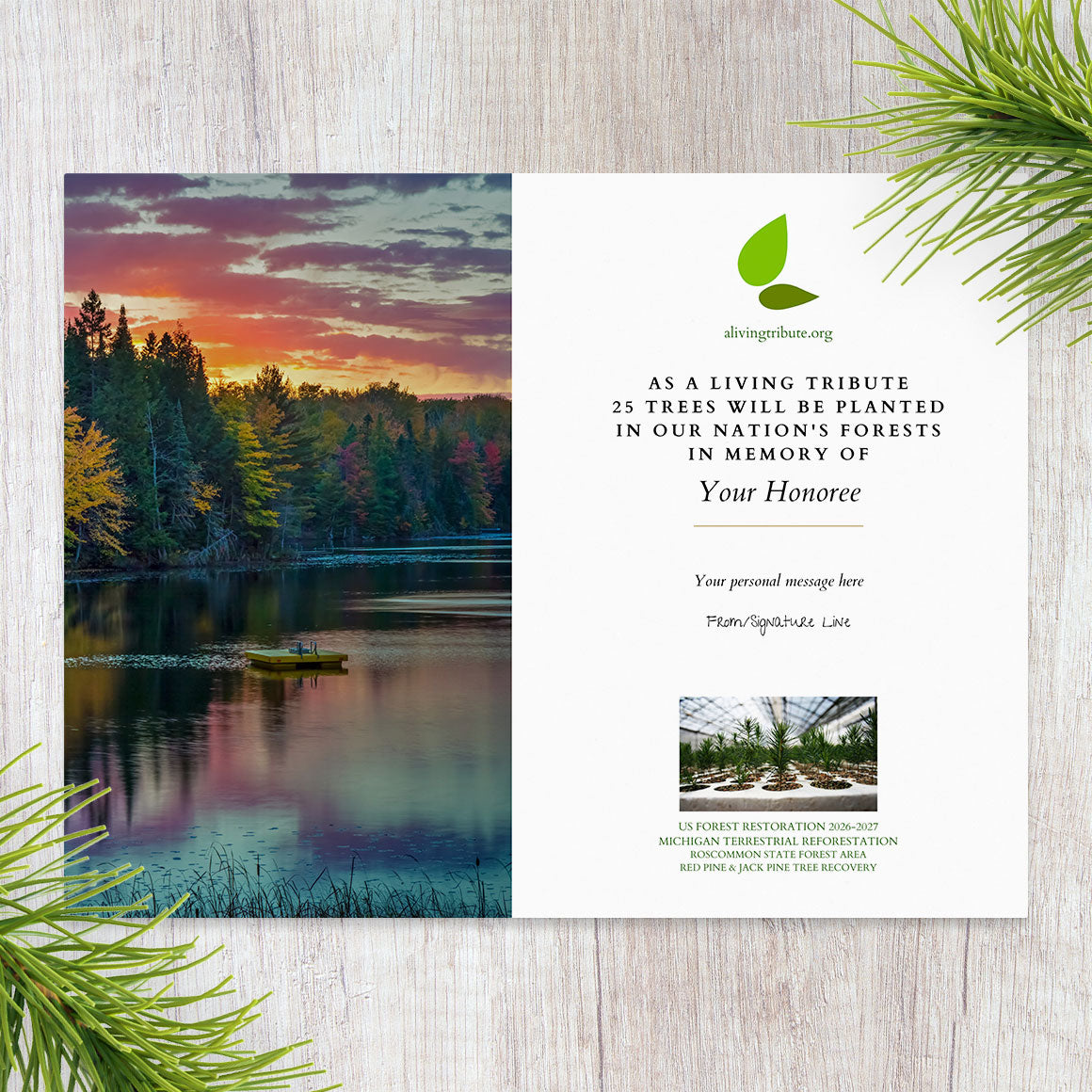 Plant a Tree for Someone in Michigan - Memorial & Tribute Trees | A ...