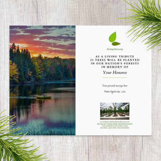 Plant a Tree in Memory Michigan