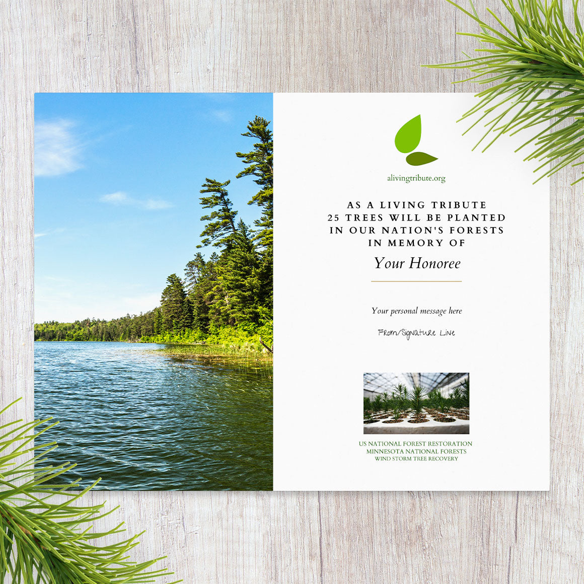 Plant a Tree for Someone in Minnesota - Memorial & Tribute Trees | A ...