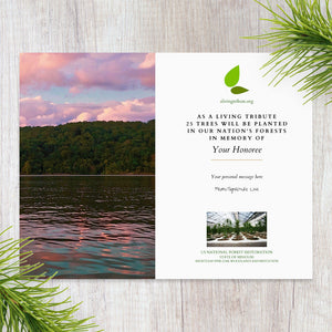 Plant a Tree for Someone in Missouri - Memorial & Tribute Trees | A ...