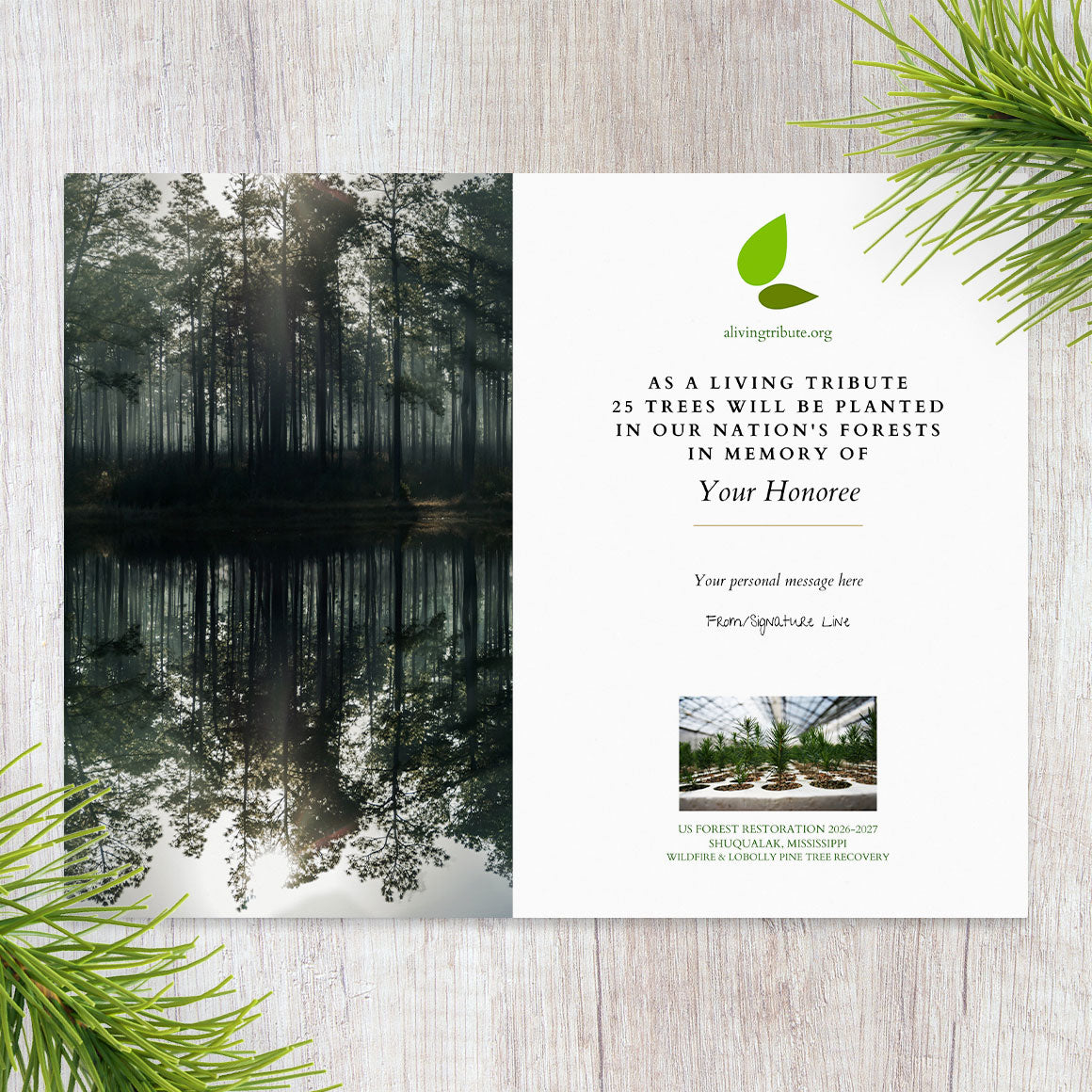 Plant a Tree for Someone in Mississippi - Memorial & Tribute Trees | A ...