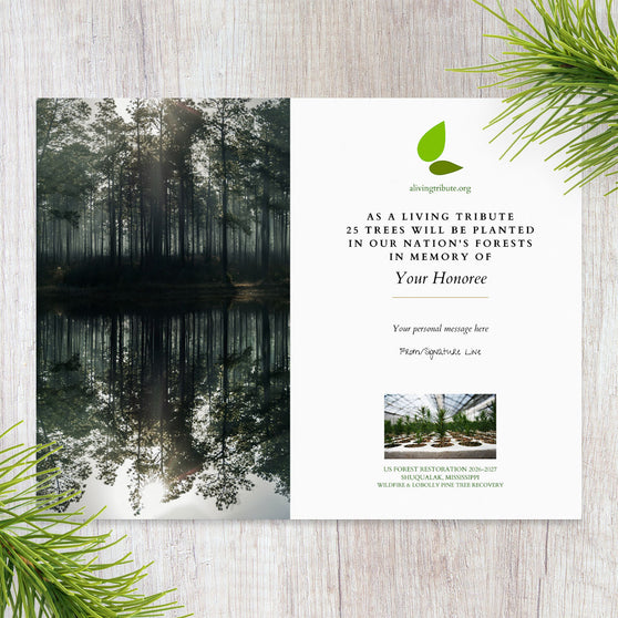 Plant a Tree in Mississippi