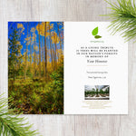 Plant-a-Tree for New Mexico