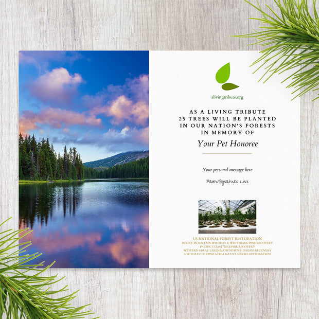 Plant a Tree in Memory of a Pet