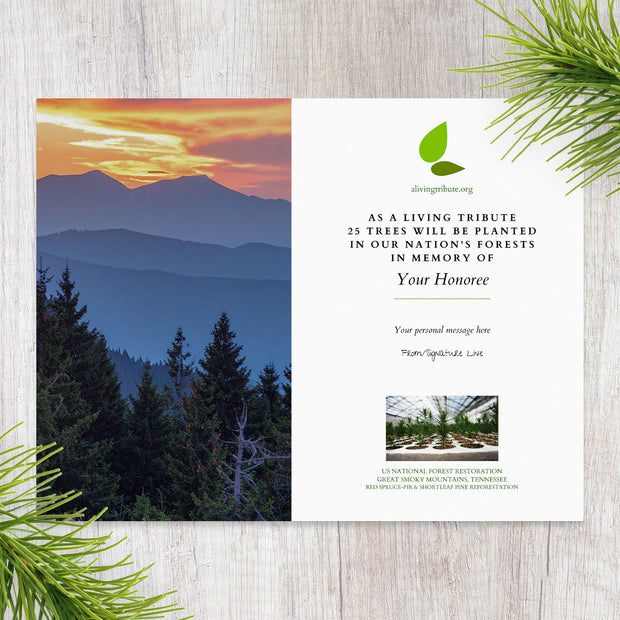 Plant a Tree for Someone in TN