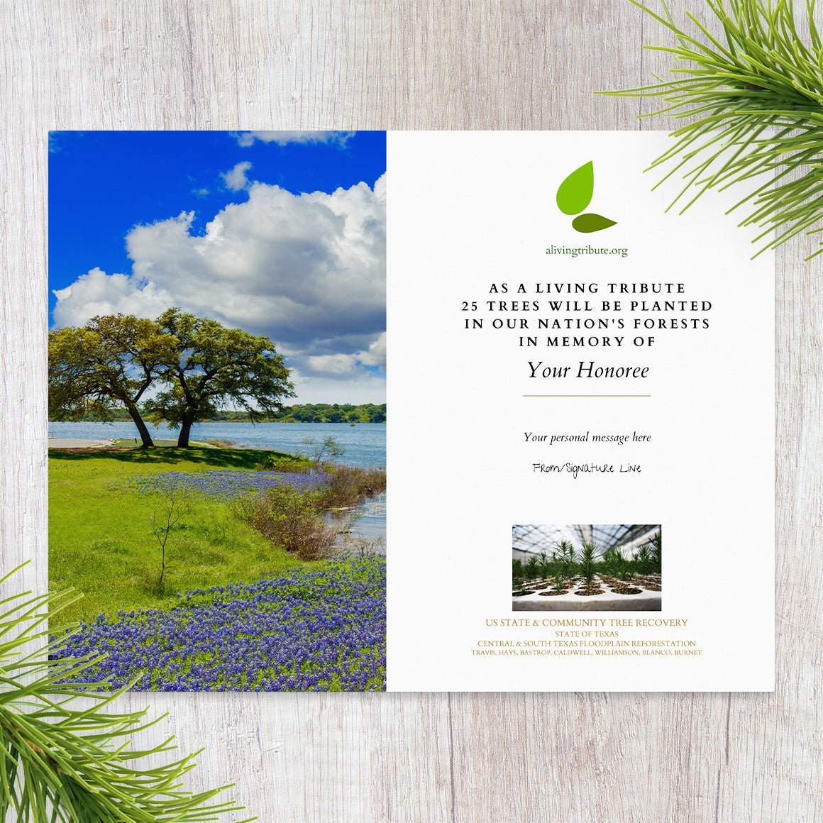 Plant a Tree for Someone in Texas - Memorial & Tribute Trees | A Living ...