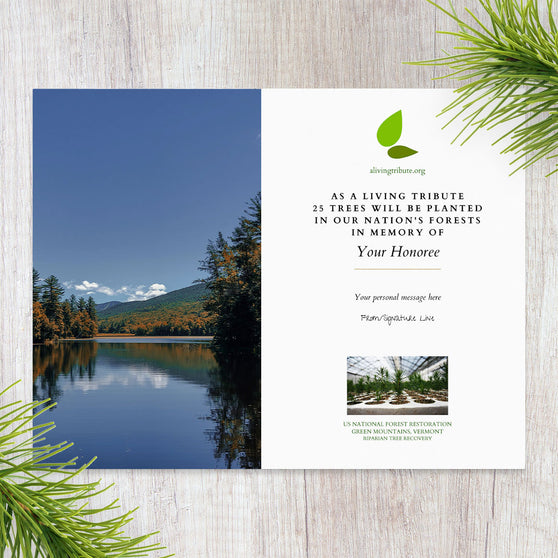Plant a Tree in Vermont