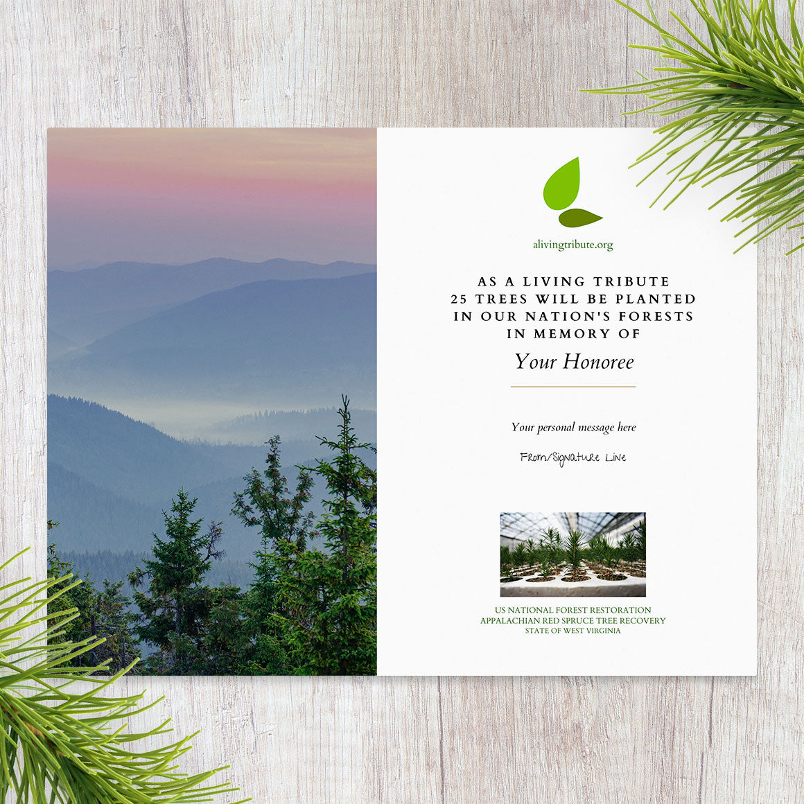 Plant a Tree for Someone in West Virginia - Memorial & Tribute Trees ...