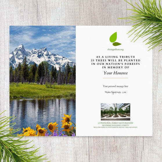 Plant a Tree in Memory Wyoming