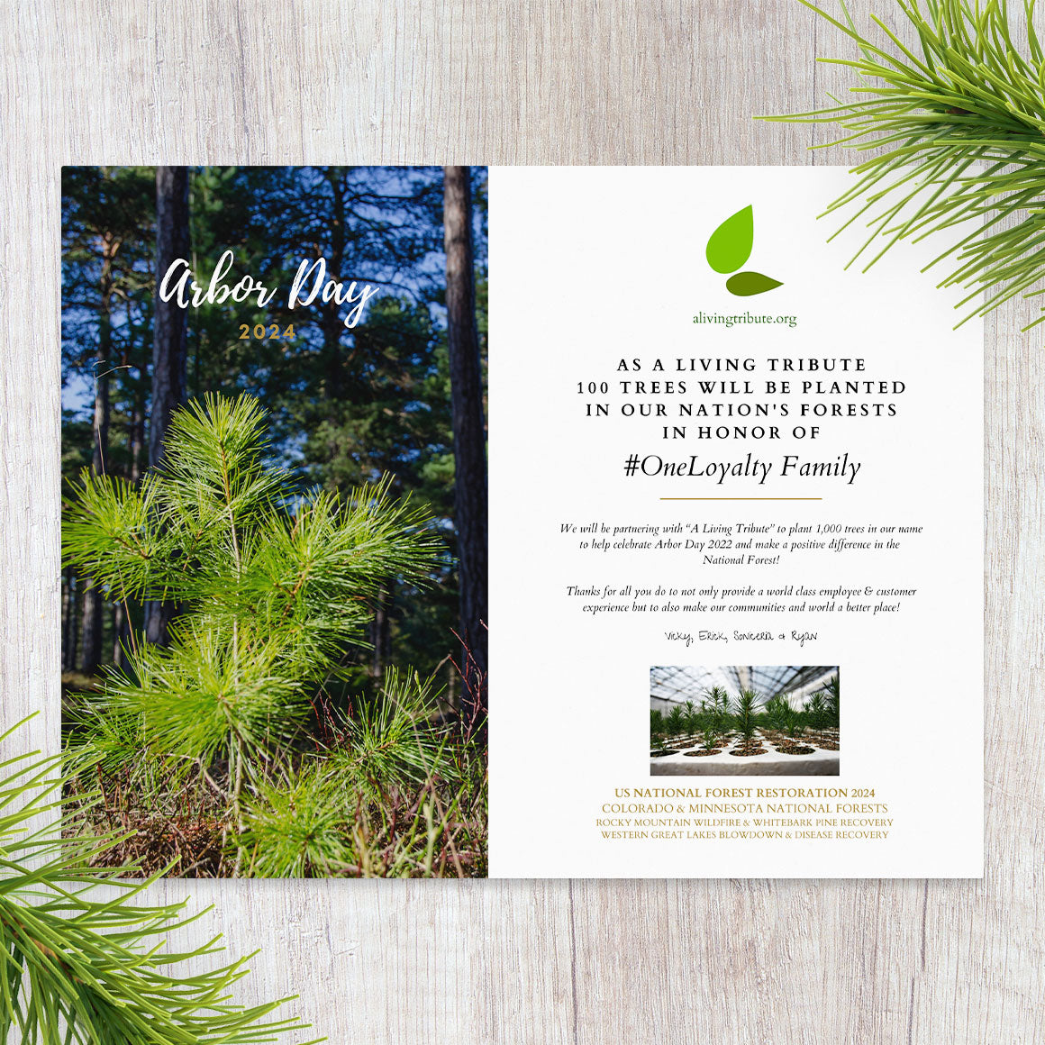 Tree Planting Cards Plant a Tree by Card Style | A Living Tribute
