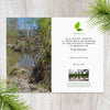 Plant a Tree for Someone in Arizona - Memorial & Tribute Trees