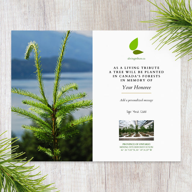 Plant a Tree in Canada with Mailed Commemorative Card