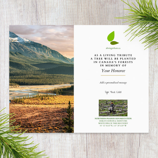 Plant a Tree in Canada with Mailed Commemorative Card