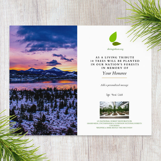 A commemorative card for planting trees in Colorado with a scenic background featuring mountains and a clear sky.