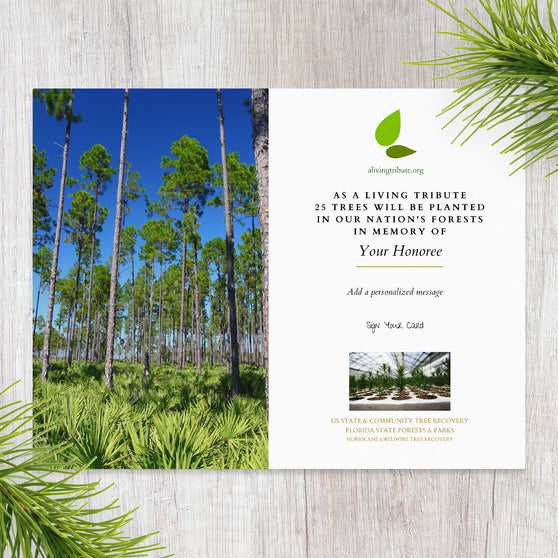 Plant a Tree in Florida - Memorial Trees & Tribute Trees