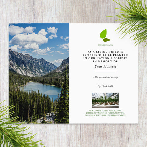 Plant a Tree for Someone in Montana - Memorial & Tribute Trees