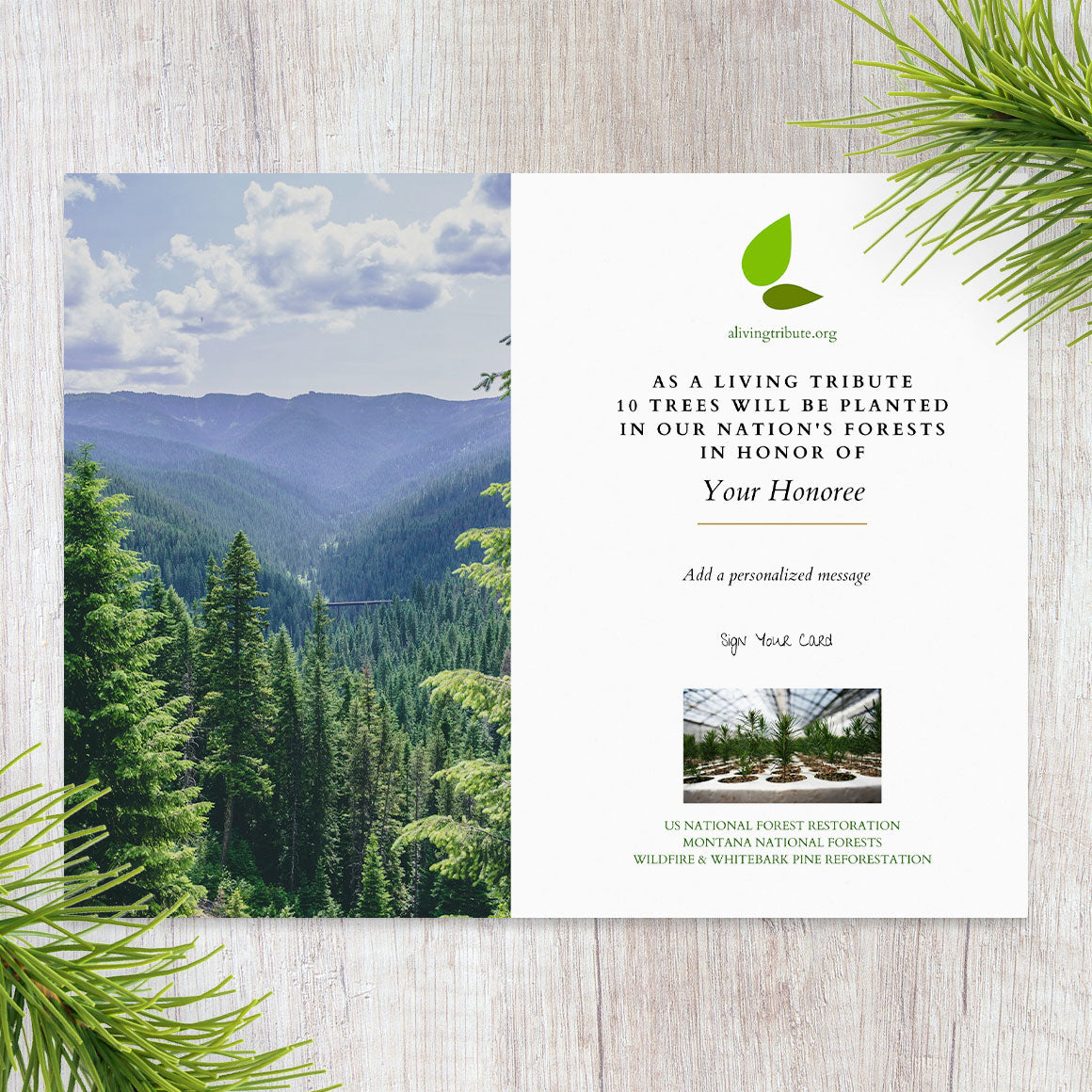 Plant a Tree for Someone in Montana - Memorial & Tribute Trees | A ...