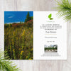 Plant a Tree for Someone in the Appalachians - Memorial & Tribute Trees