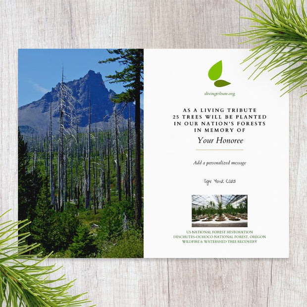 Plant a Tree for Someone in Oregon - Memorial & Tribute Trees