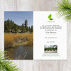 Plant a Tree in Oregon - Memorial & Tribute Trees