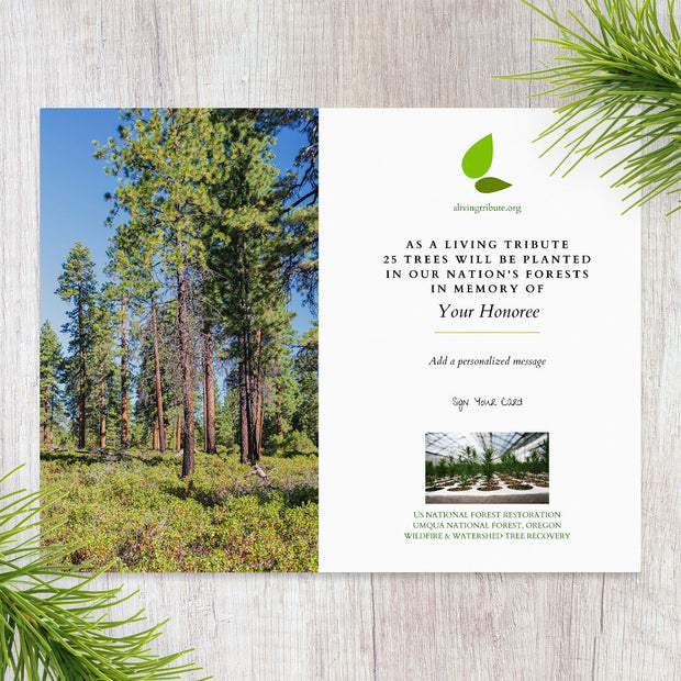 Plant a Tree for Someone in Oregon - Memorial & Tribute Trees