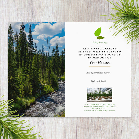 Plant a Tree in Memory Washington