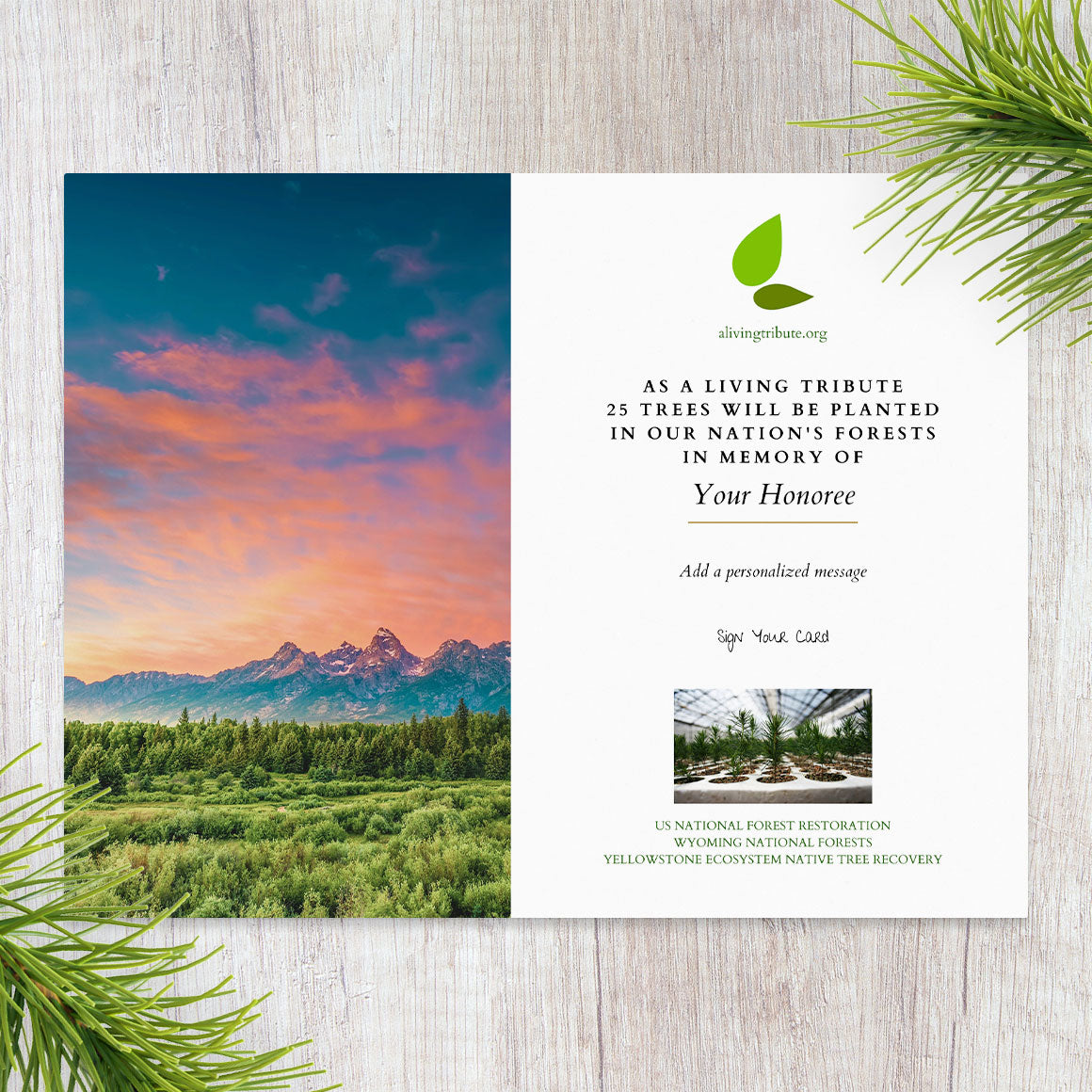 Plant a Tree for Someone in Wyoming - Memorial & Tribute Trees | A ...
