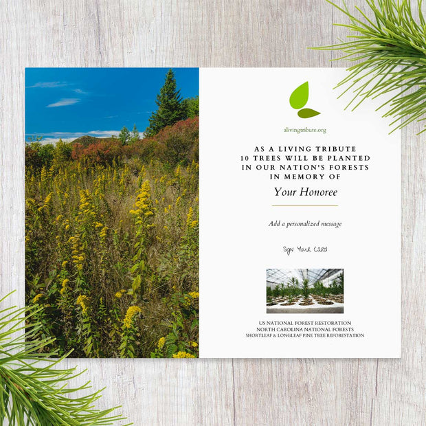 Plant a Tree for Someone in North Carolina - Memorial & Tribute Trees ...
