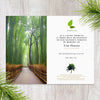 Plant-a-Tree Sympathy Card - A Living Tribute