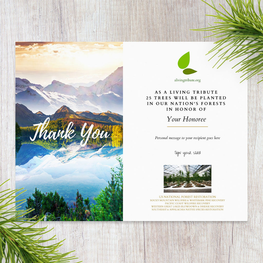 Plant-a-Tree Thank You Card