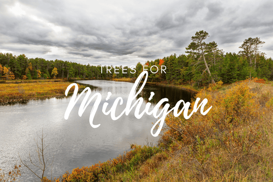 Plant a Tree for Someone in Michigan - Memorial & Tribute Trees