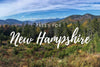 Plant a Tree for Someone in New Hampshire - Memorial & Tribute Trees